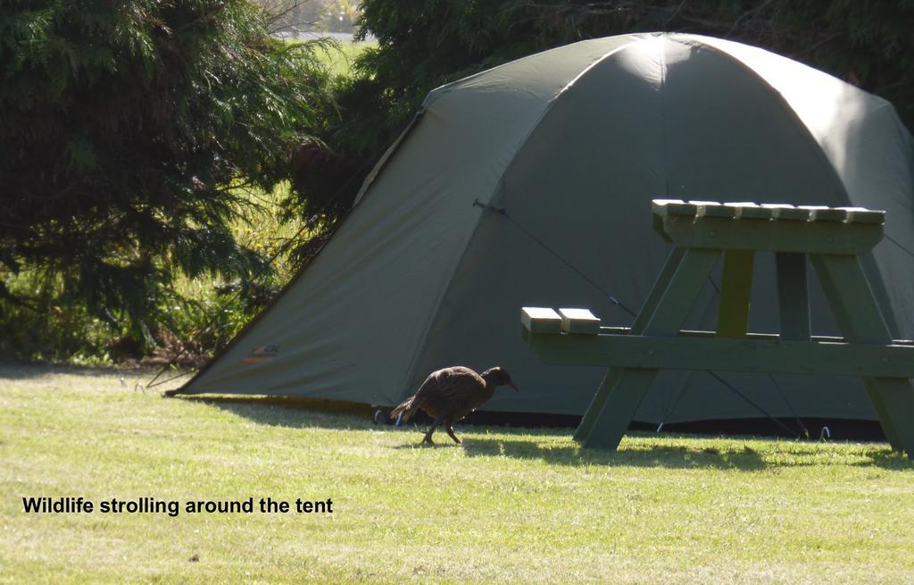 Carters Beach Top 10 Holiday Park Westport Eksteriør bilde